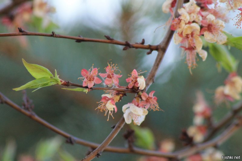 Завершающая