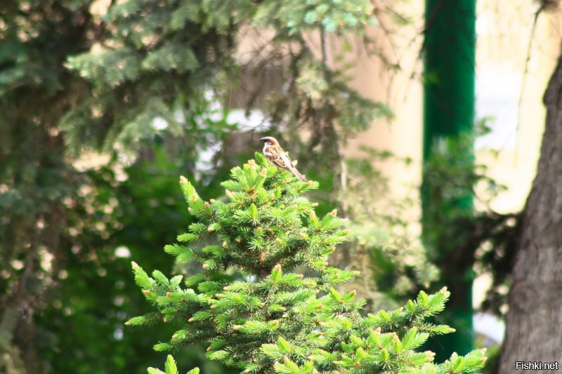 Завершающая