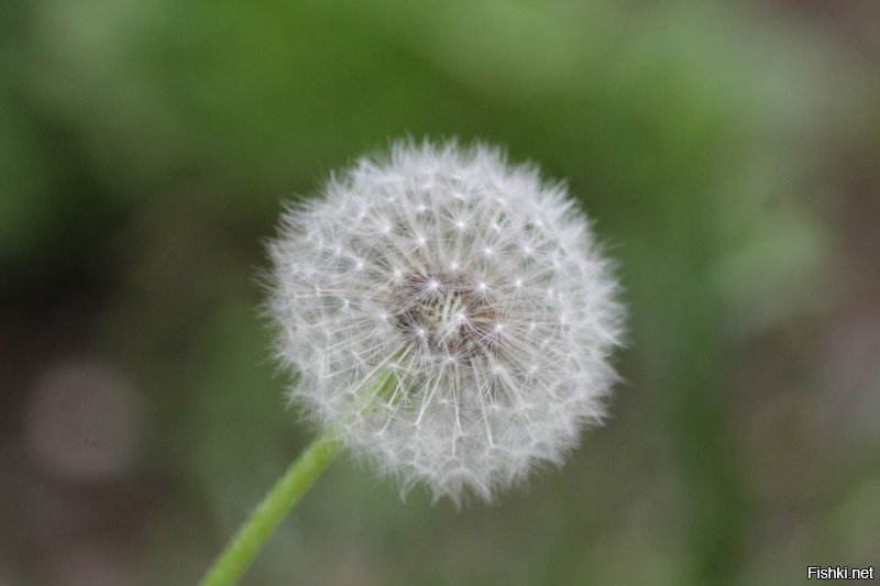 Завершающая