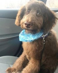 Великолепные фото, не нуждающиеся в комментариях