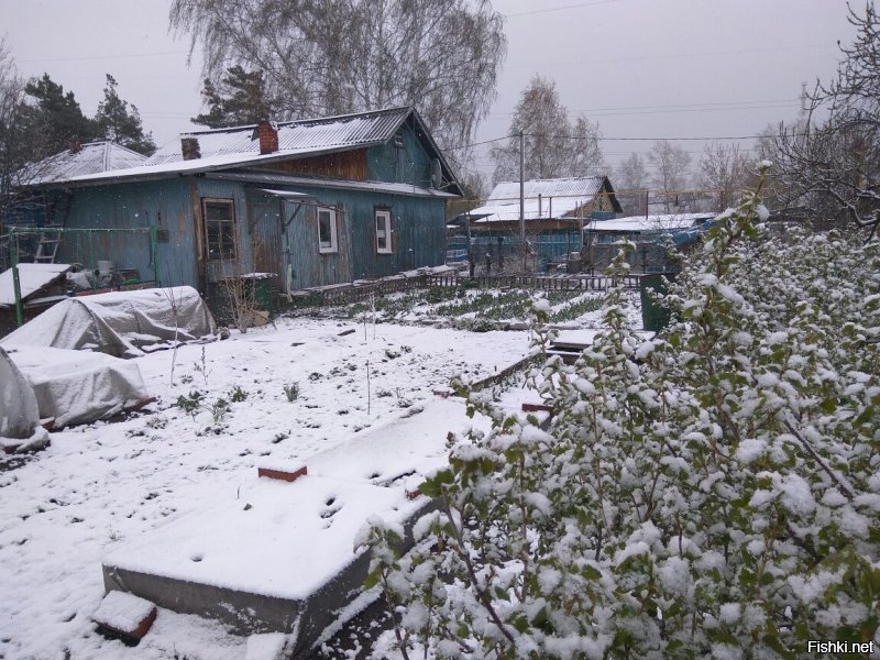 Новосибирск утро 19 маября 2018. На 21е обещают 20 градусов, но чёт наверно мороза