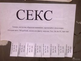 Скоро человечество охватит неизлечимая эпидемия