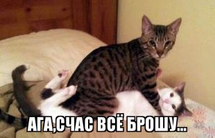 Как мы жадную соседку отучили чужими вещами пользоваться