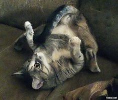 Чуть применён шумодав:)