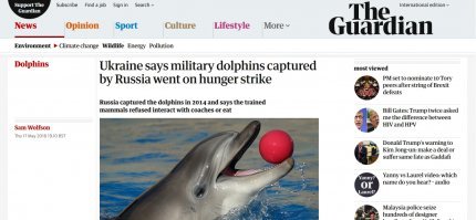 просто это был украинский боевой дельфин, а журналист пророссийский