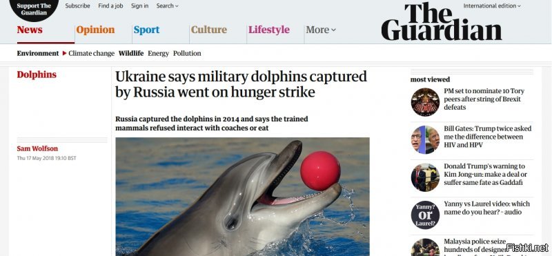 просто это был украинский боевой дельфин, а журналист пророссийский
