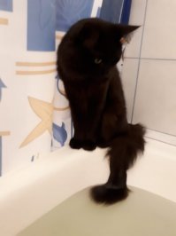 Термометр