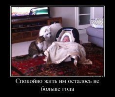 По поводу одной из фоток. :)