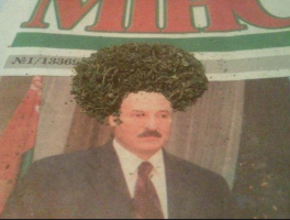 Около гомельской больницы парень выложил портрет девушки из шишек