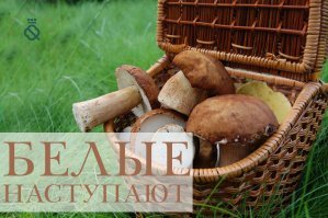 Скоро человечество охватит неизлечимая эпидемия