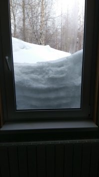 Южане.... Новый Уренгой, вчера фотографировал! Зима до июня точно....