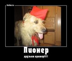 Животное, я рад, что тебе понравилось. Продолжай дрочить на труп.