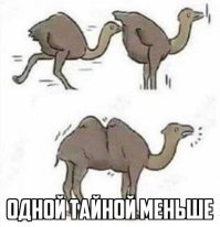 Смешные и пугающие комментарии из соцсетей и переписок