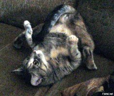 Так лучше видно...