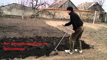 ТОП-5 растений против бессонницы