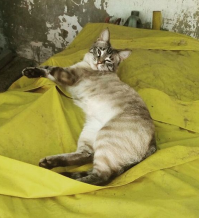 Моя королева))))