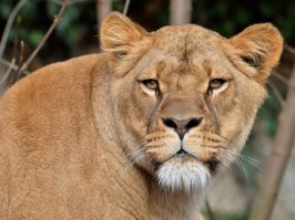 Так и ключи от дома - у меня. 
И правила в доме - мои :)