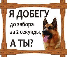 Главный урок от собаки: умей быстро бегать!