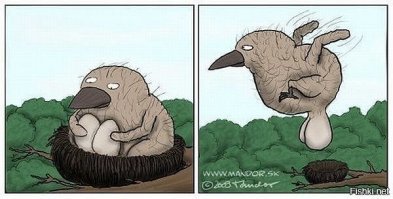 По пути одинокого всадника