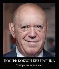 10 знаменитостей, которые не брезгуют фальшивыми волосами