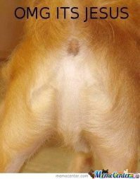 Телескоп Hubble обнаружил во Вселенной «город Бога»