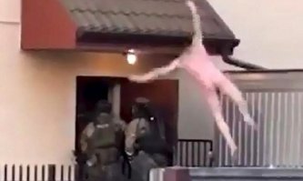 Я цыпленок табакаааааа