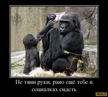 Когда очень плотно подсел на соцсети