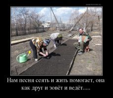 Свежая подборка демотиваторов, которые поднимут вам настроение