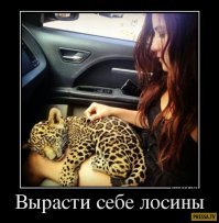 Рябит в глазах: Когда любовь к леопардовому принту переходит все границы