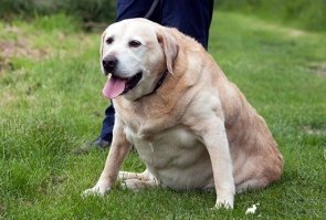 А вот сейчас, я уже совсем не боюсь...