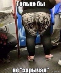 Рябит в глазах: Когда любовь к леопардовому принту переходит все границы