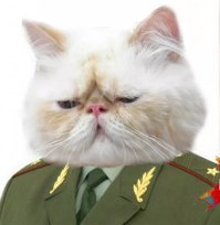 У него, говорят, в белокаменной куратор есть