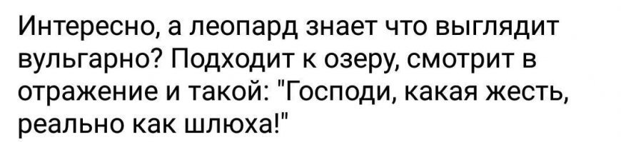 Рябит в глазах: Когда любовь к леопардовому принту переходит все границы