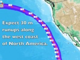 На счёт источника, то это взято с викии на фишки. 
Теорий про этот вулкан несколько и одна из них очень для Тихого океана не приятна.
"Этот главный, самый большой остров архипелага сформирован вершинами шести вулканов, одним из которых и является вулкан Килауэа. Он представляет собой гору, высотой порядка 7 километров, торчащую из океанического дна."
Так вот геологи предполагают сильный оползень со склона с последующим цунами.