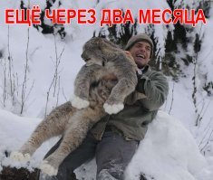 Картинки с надписями для настроения