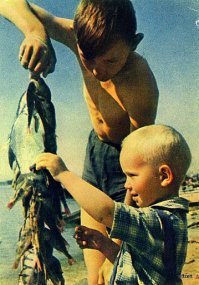 Жизнь в СССР. 1950-е годы