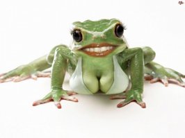 Возможно, самый потрясающий косплей в истории… на Зайца-робота из «Ну, погоди»!