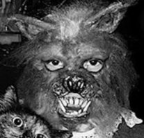 С девушкой в костюме кошки понятно все. А это кто тогда?