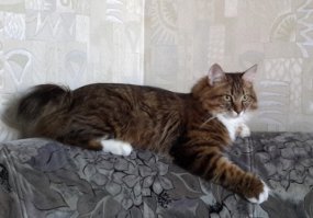 У меня тоже есть было-стало)