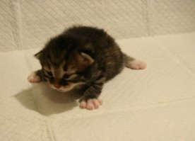 У меня тоже есть было-стало)