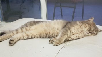 А это мои.

Ты спишь?