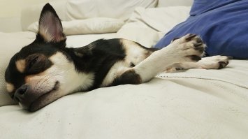 А это мои.

Ты спишь?