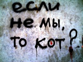 Лучшие изречения уличных философов