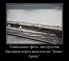 Есть такая известная птица   баклан, которая своим мощным клювом разрушает цельность пленки. Птица... долбит клювом светоотражающую плёнку на крыше. И это приводит к дефектам, которые в свою очередь в непогоду пропускают влагу. Чтобы избежать таких повреждений, необходимо доработать проект защиты, который сейчас работает неправильно ,   заявил Албин.