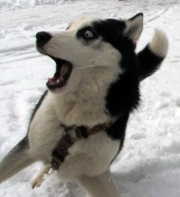 Картинки с надписями для настроения