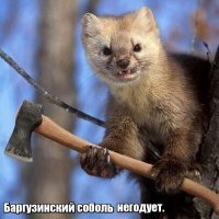3 самых дорогих шубы в мире