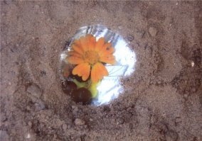 А мы "секретики" закапывали