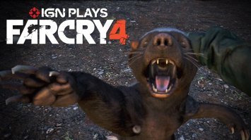 Подборка картинок