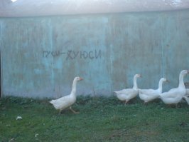 Лучшие изречения уличных философов