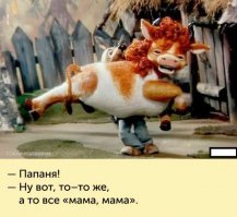 Старая собака стала папой для осиротевших утят